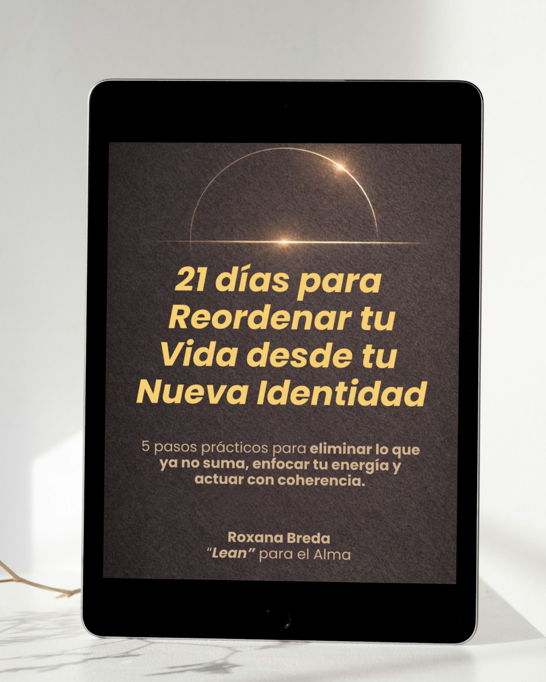 Guía práctica para reordenar tu vida + Bonos